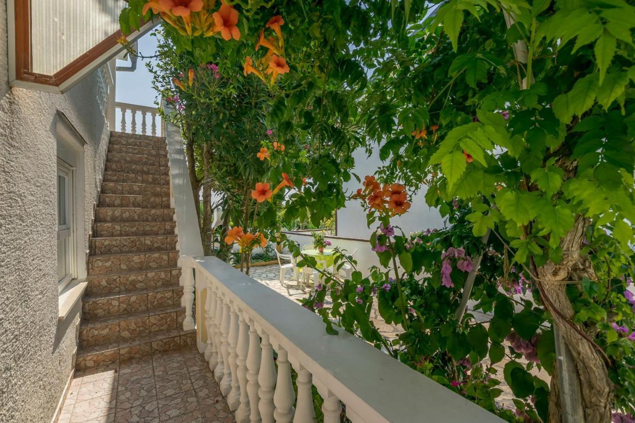 Apartment Seka Привлака Экстерьер фото